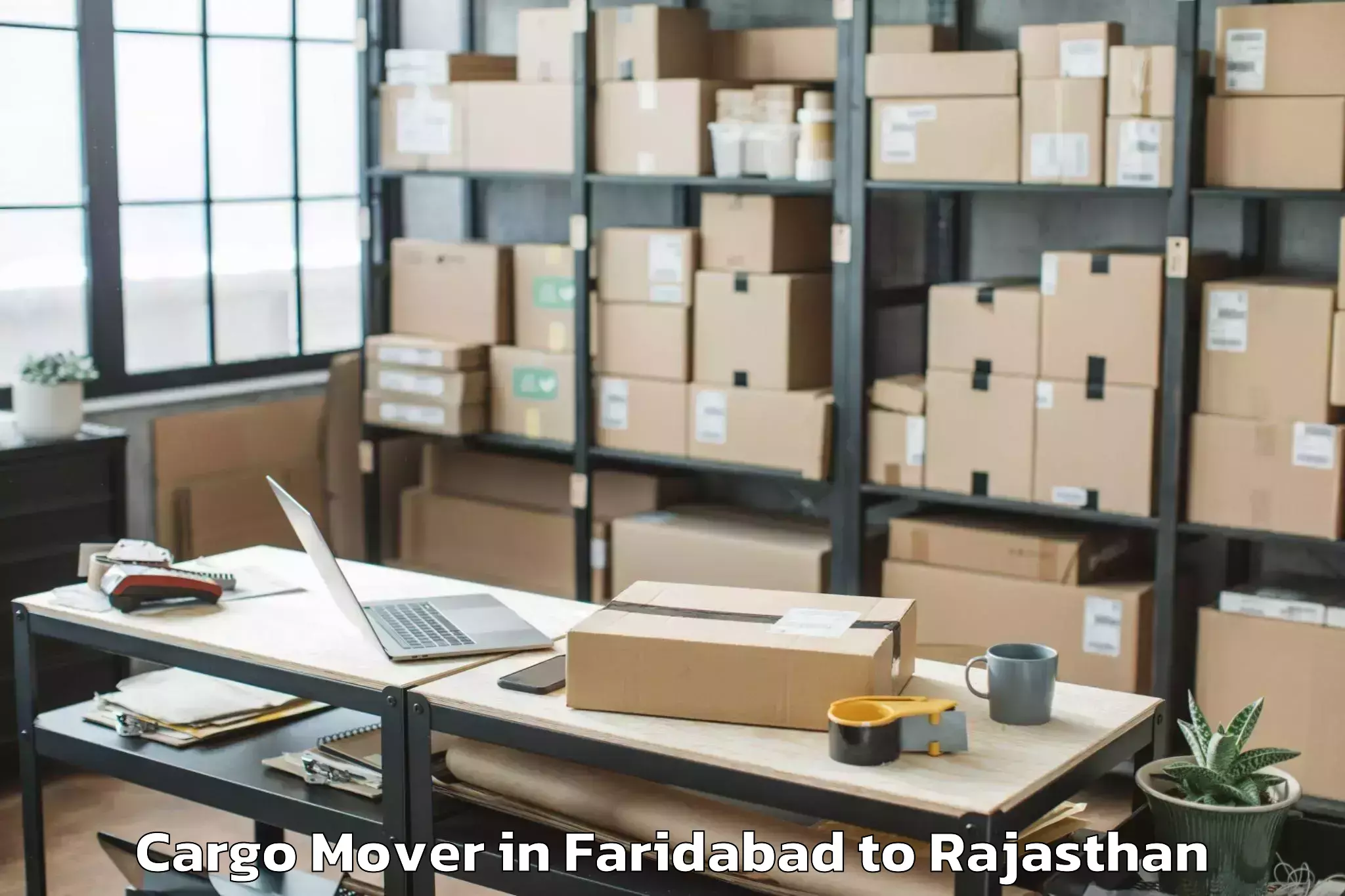 Expert Faridabad to Pratapgarh Rajasthan Cargo Mover